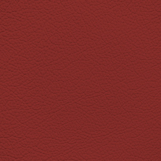 BMW Fiona Red Leather Dye