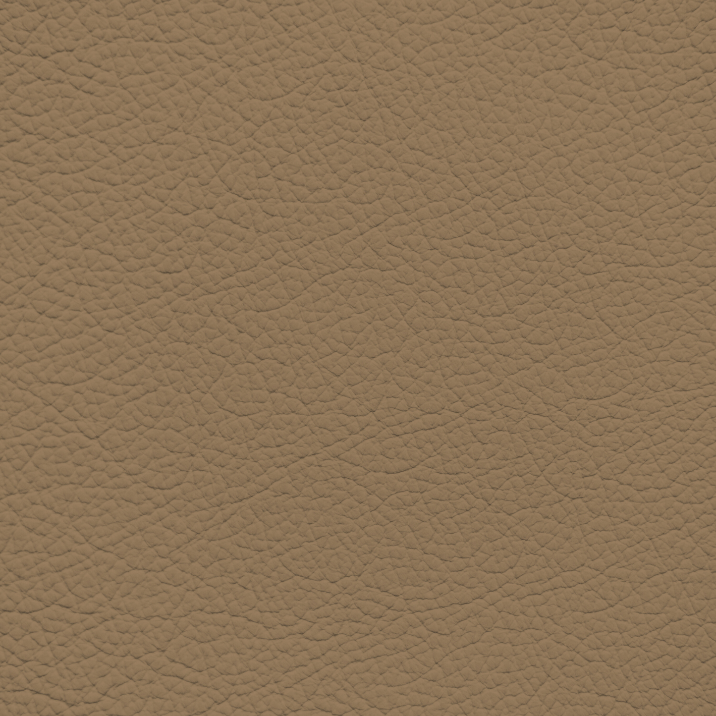 Ford/Lincoln/Mercury Baja Tan Leather Dye
