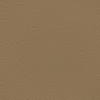 Ford/Lincoln/Mercury Baja Tan Leather Dye