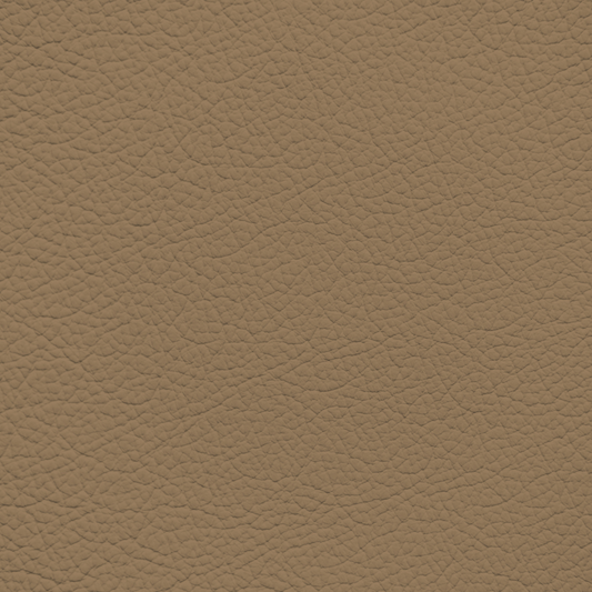 Ford/Lincoln/Mercury Baja Tan Leather Dye