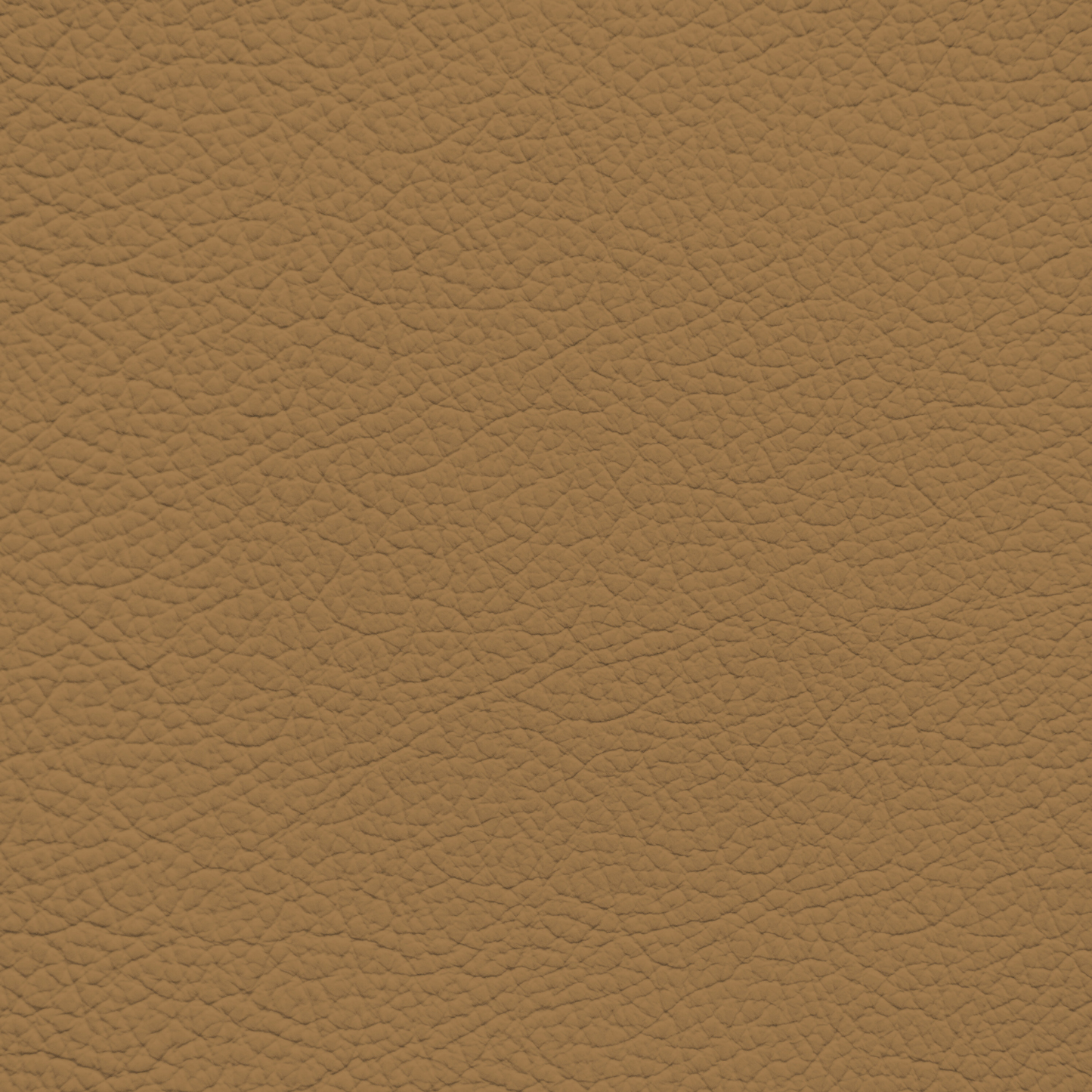 Mercedes Bamboo Leather Dye