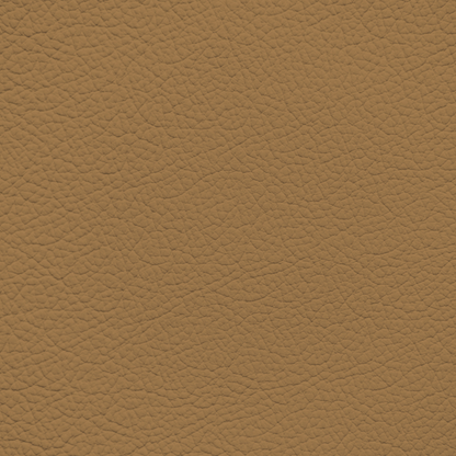 Mercedes Bamboo Leather Dye