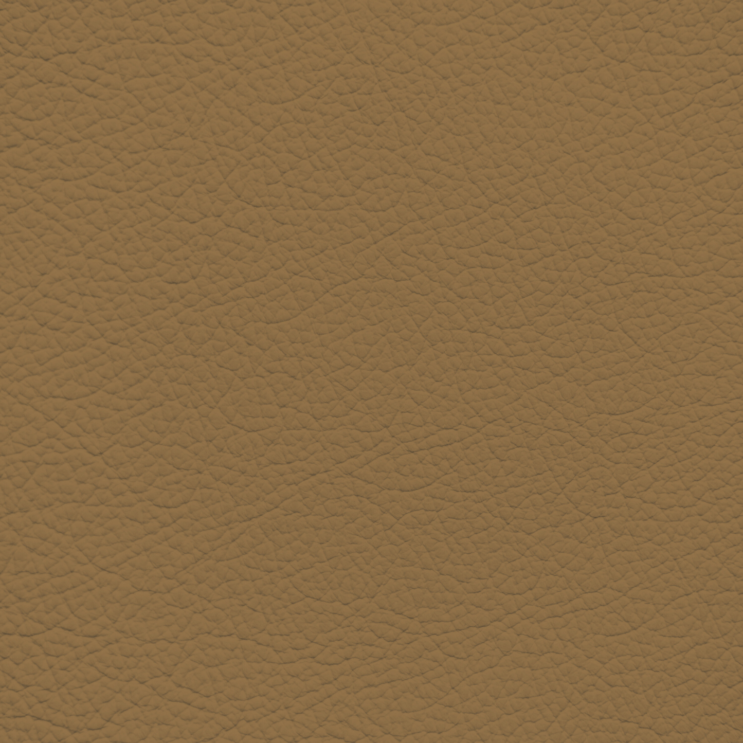 Jaguar Barley Leather Dye