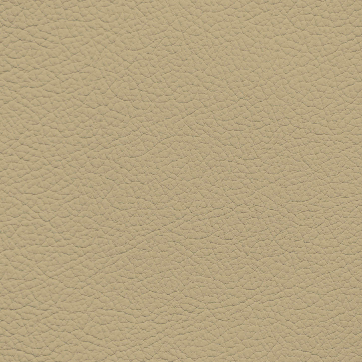Subaru Beige (2021-2023) Leather Dye
