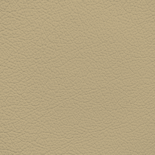 Subaru Beige (2021-2023) Leather Dye