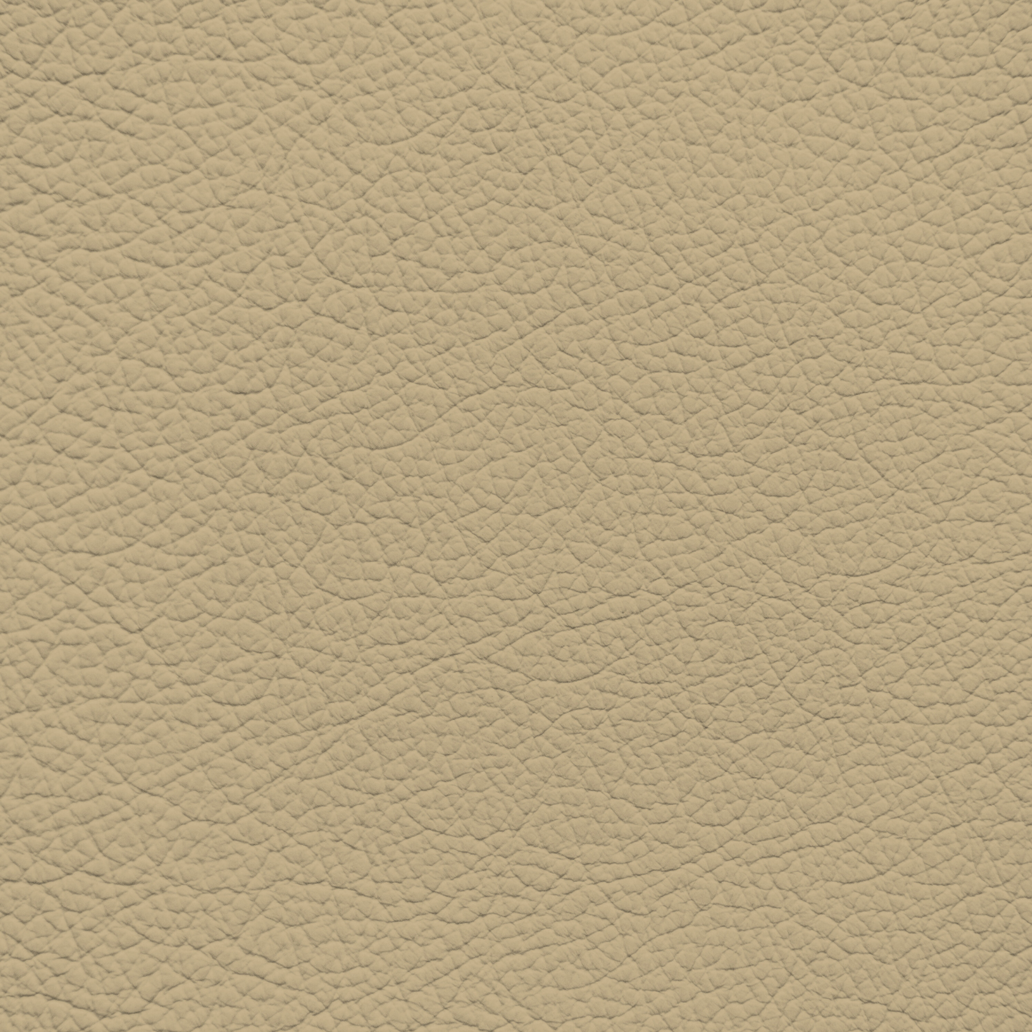 Mercedes Beige Leather Dye