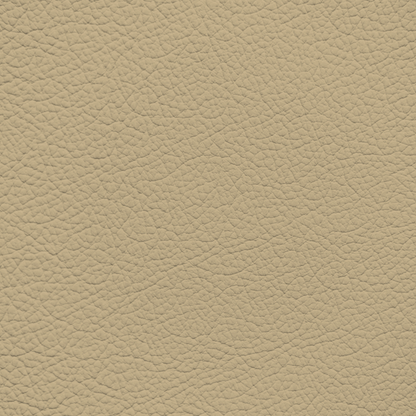 Mercedes Beige Leather Dye