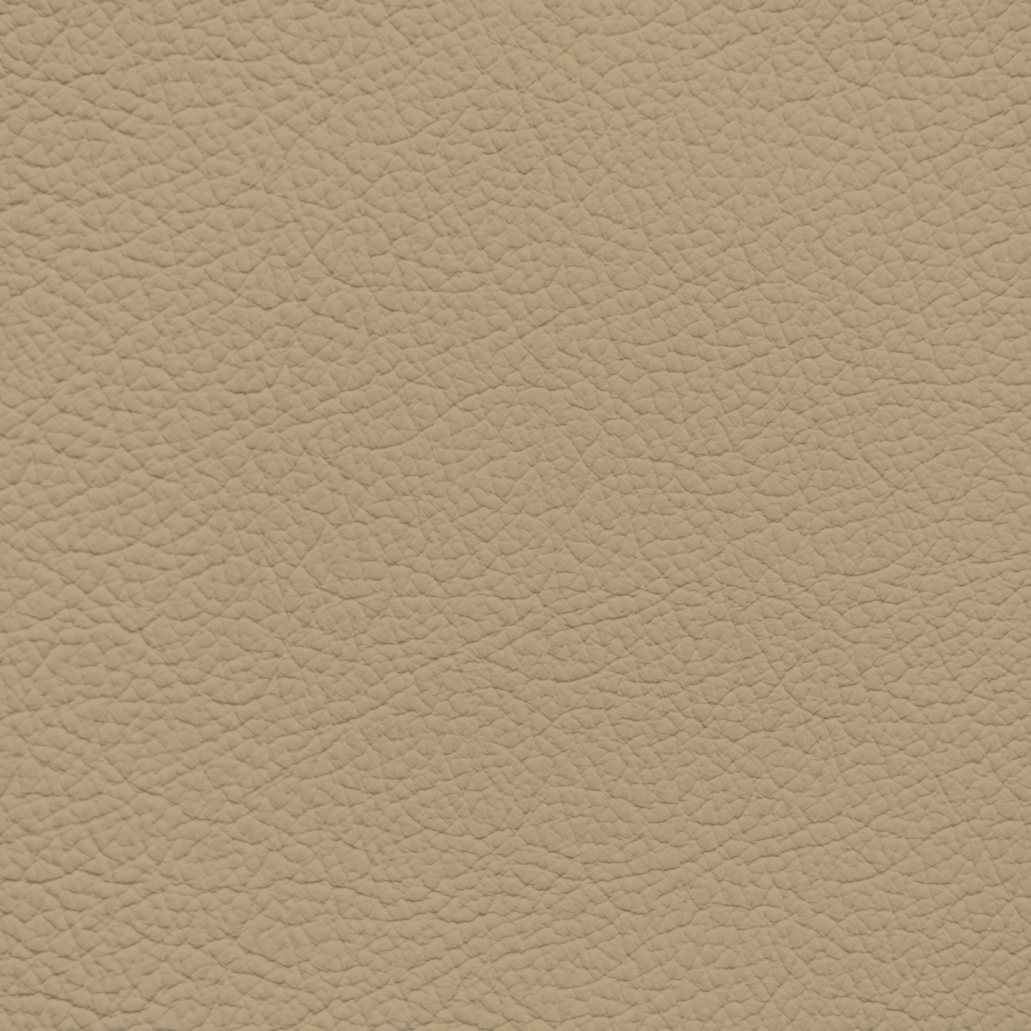 Mazda/Mitsubishi Beige Leather Dye