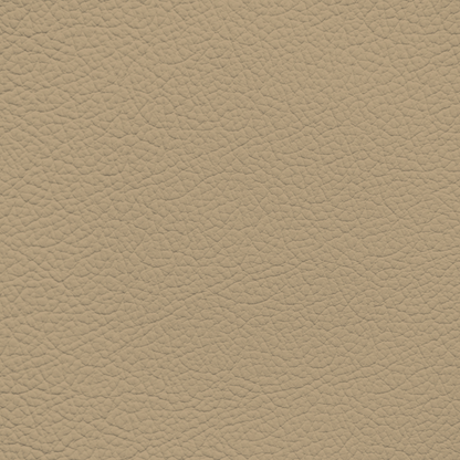 Mazda/Mitsubishi Beige Leather Dye