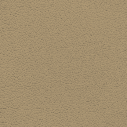 Saab Beige Leather Dye
