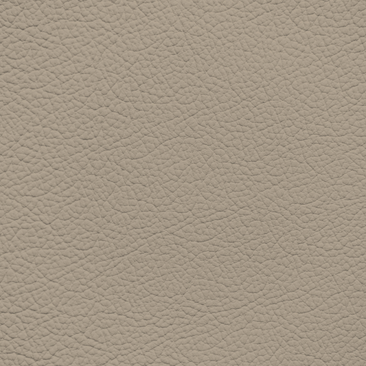 Subaru Beige Leather Dye