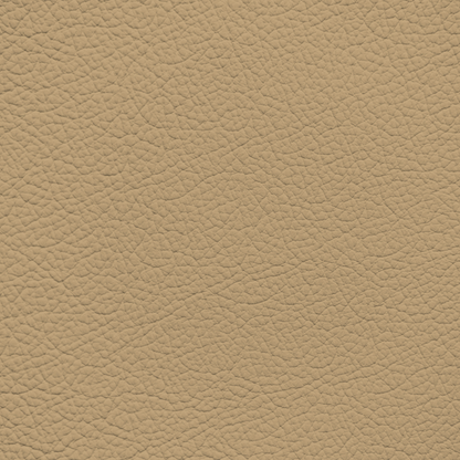 Porsche Beige (Vinyl) Leather Dye