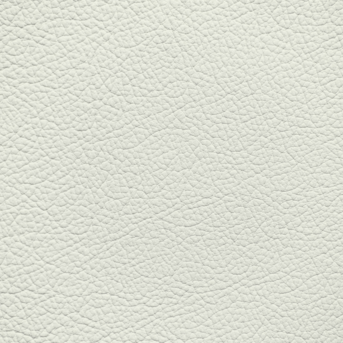 Lamborghini Bianco Polar Leather Dye