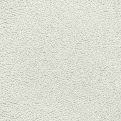 Lamborghini Bianco Polar Leather Dye