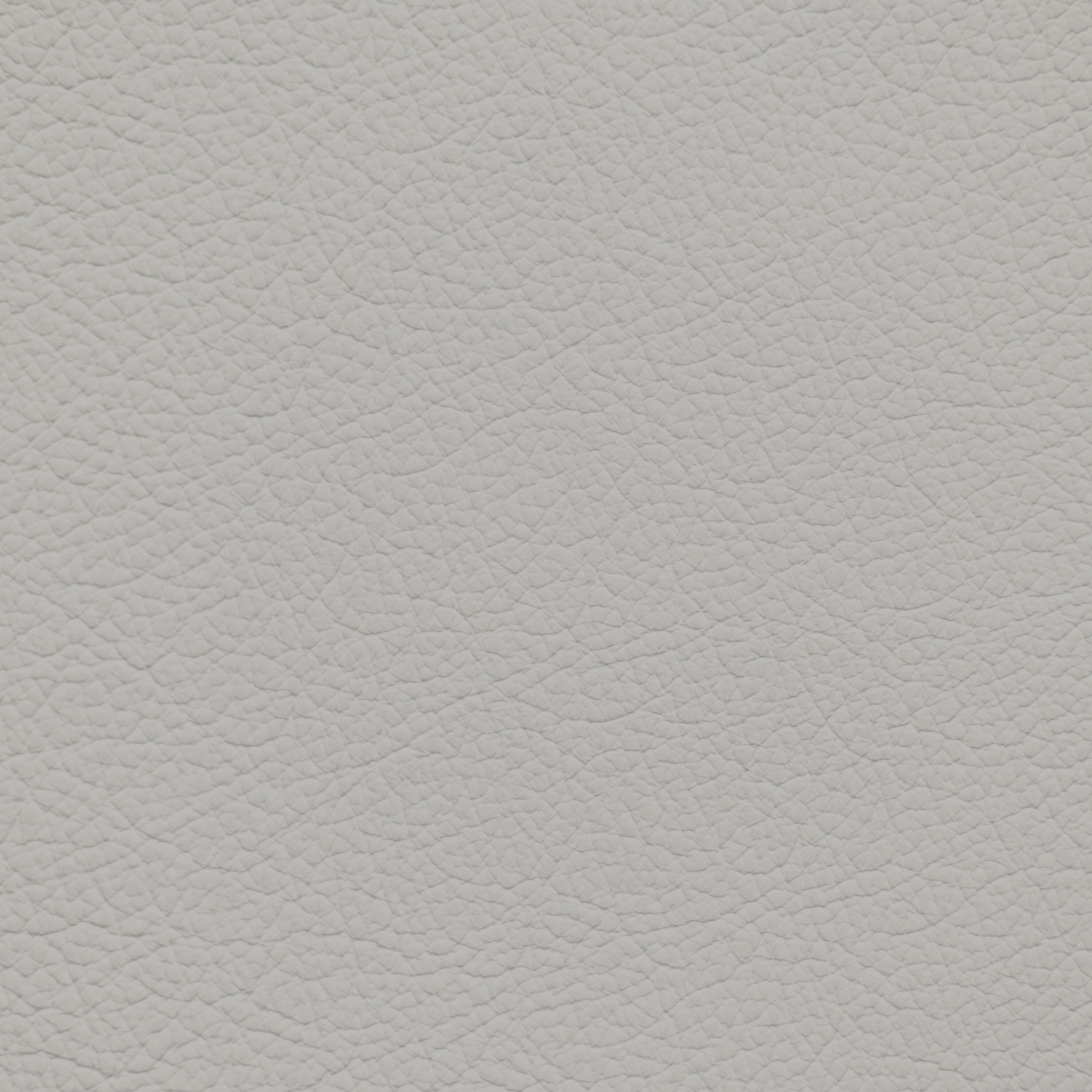 Toyota Birch Leather Dye