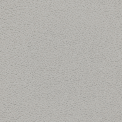 Toyota Birch Leather Dye