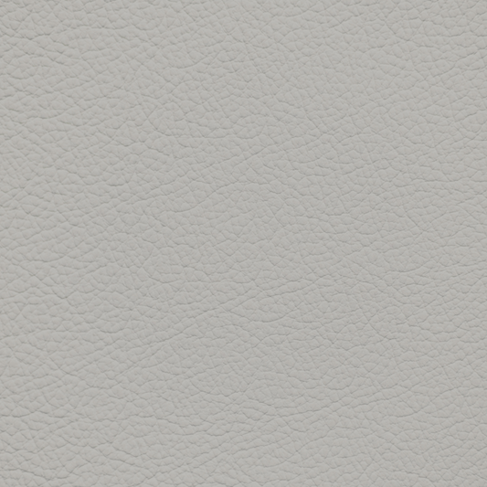Toyota Birch Leather Dye