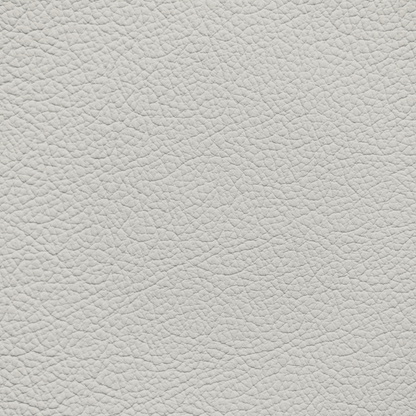 Toyota Bisque Leather Dye