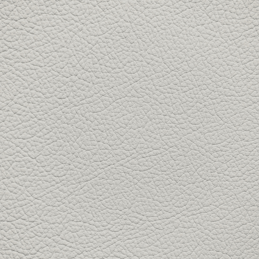 Toyota Bisque Leather Dye