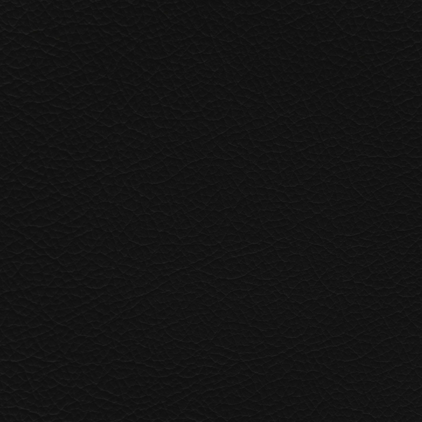 Lotus Black Leather Dye