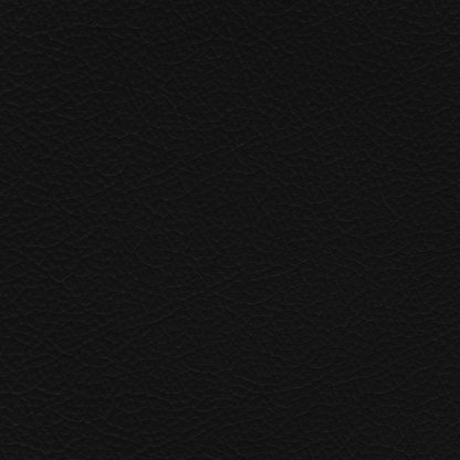 Lotus Black Leather Dye