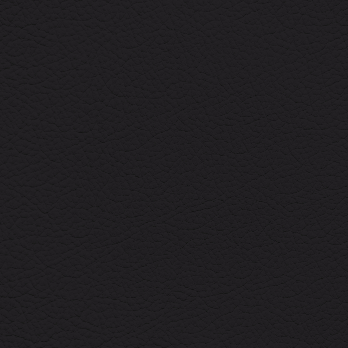 Maserati Black Leather Dye