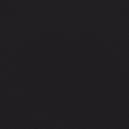 Maserati Black Leather Dye