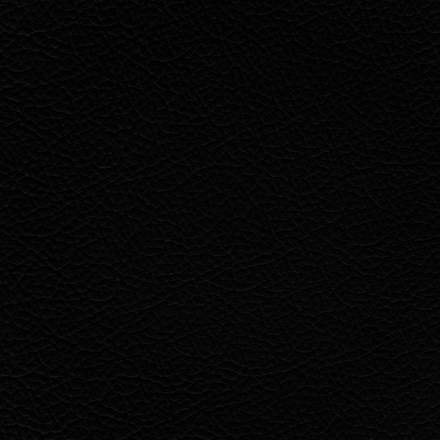 Porsche Black Leather Dye
