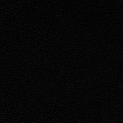Porsche Black Leather Dye