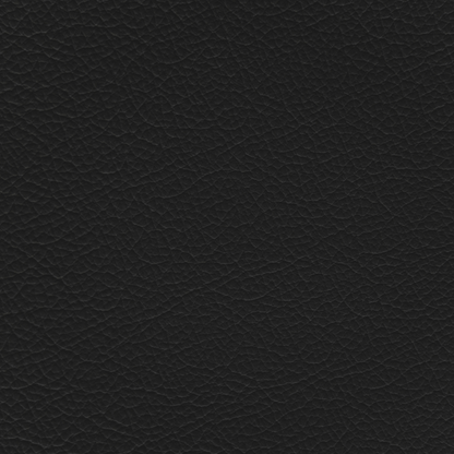 Lexus Black Leather Dye