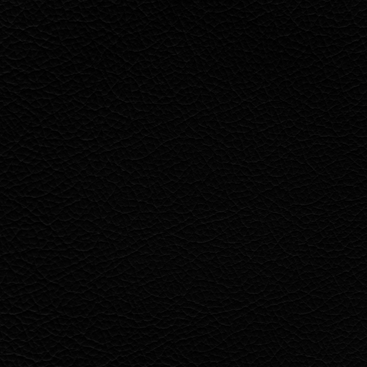 Volkswagen Black Leather Dye