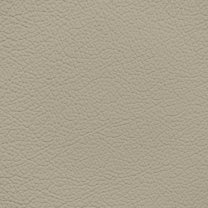 Infiniti Blonde Leather Dye