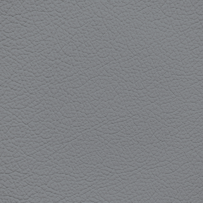 Lexus Bluish Gray Leather Dye