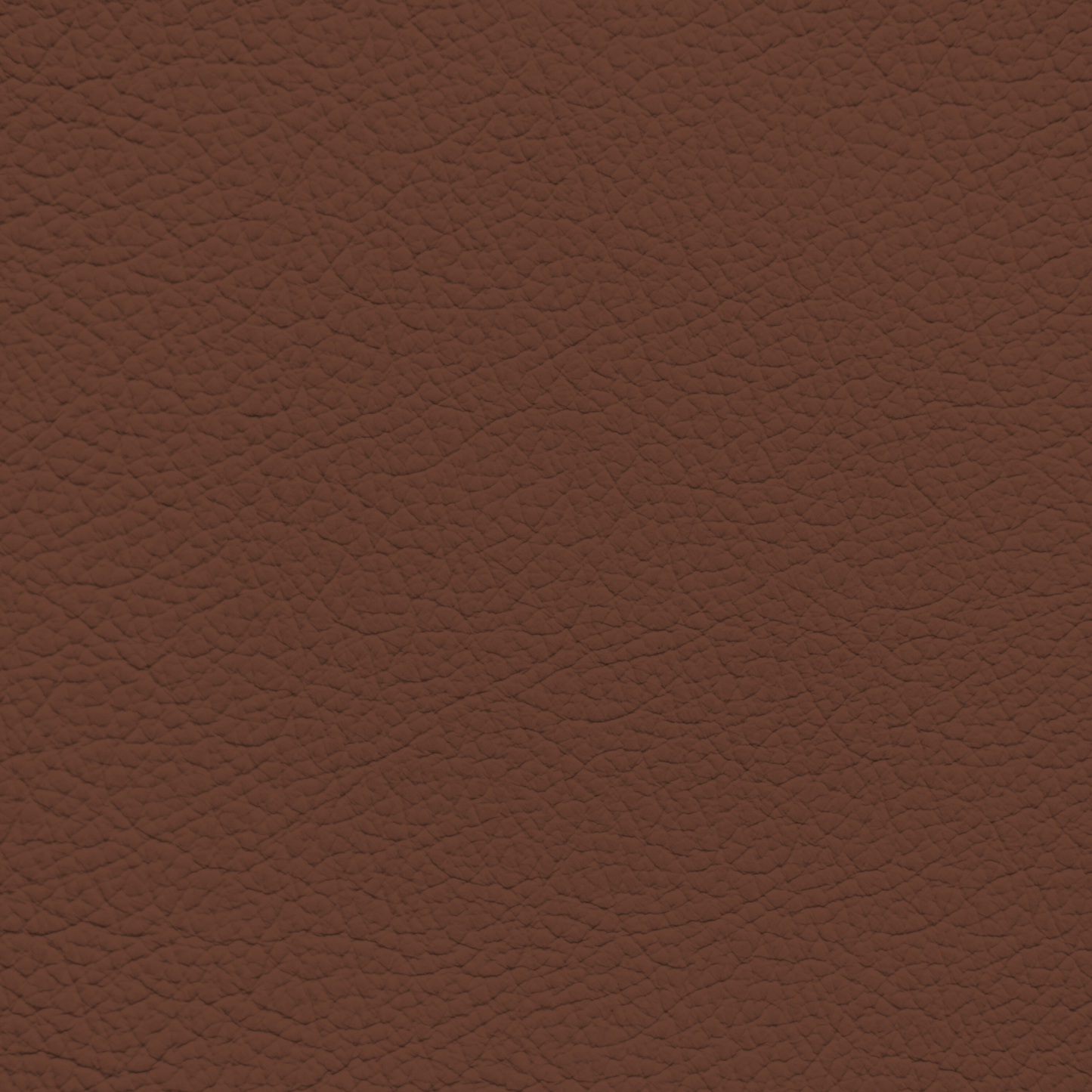 Volkswagen Bonanza Leather Dye