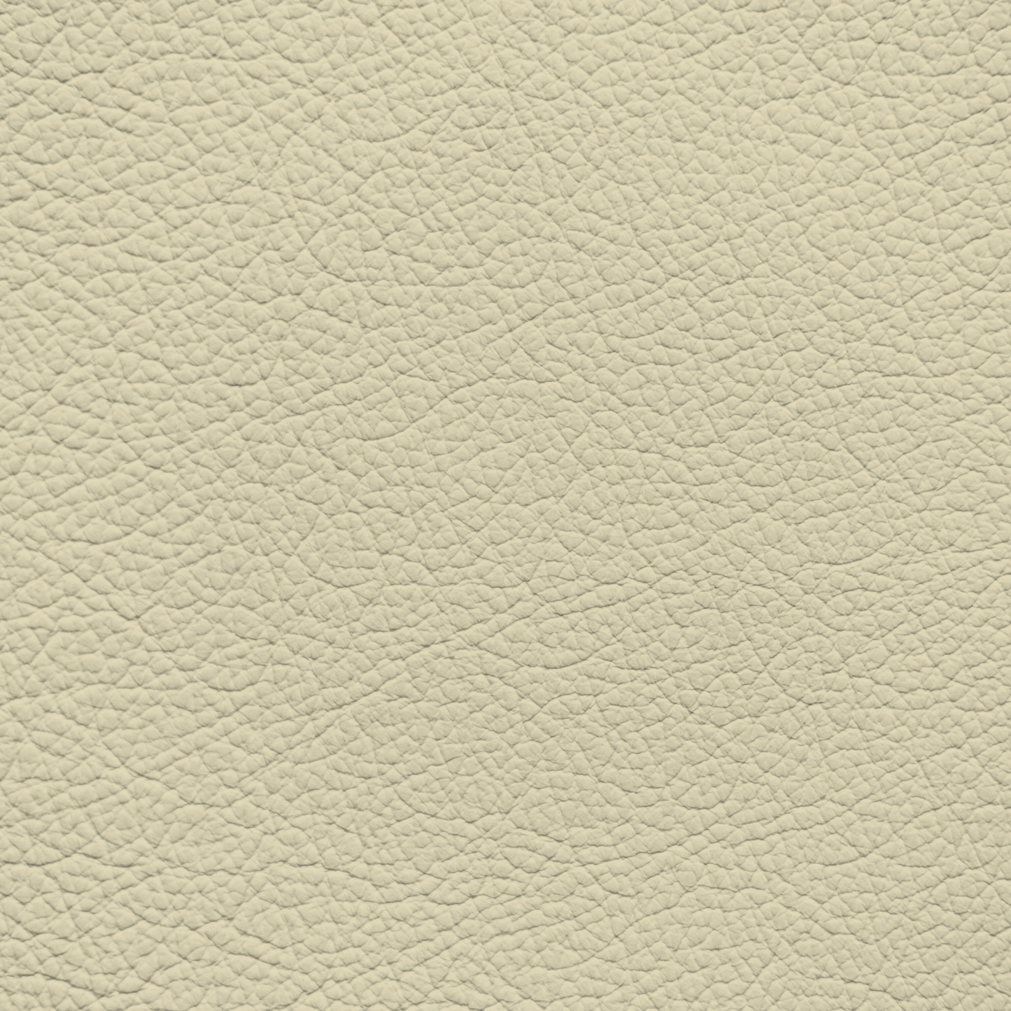 Ford/Lincoln/Mercury Bone Leather Dye