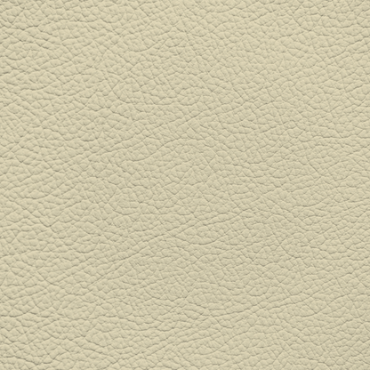 Ford/Lincoln/Mercury Bone Leather Dye