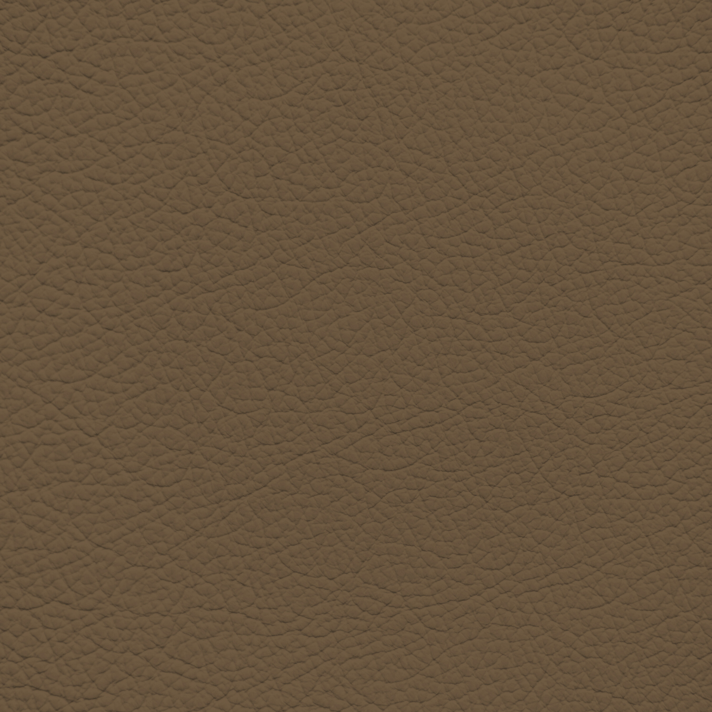Mercedes Boreno Leather Dye