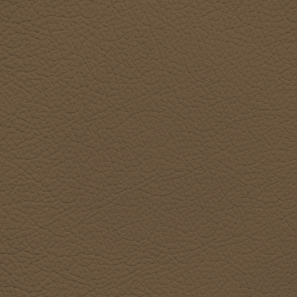 Mercedes Boreno Leather Dye