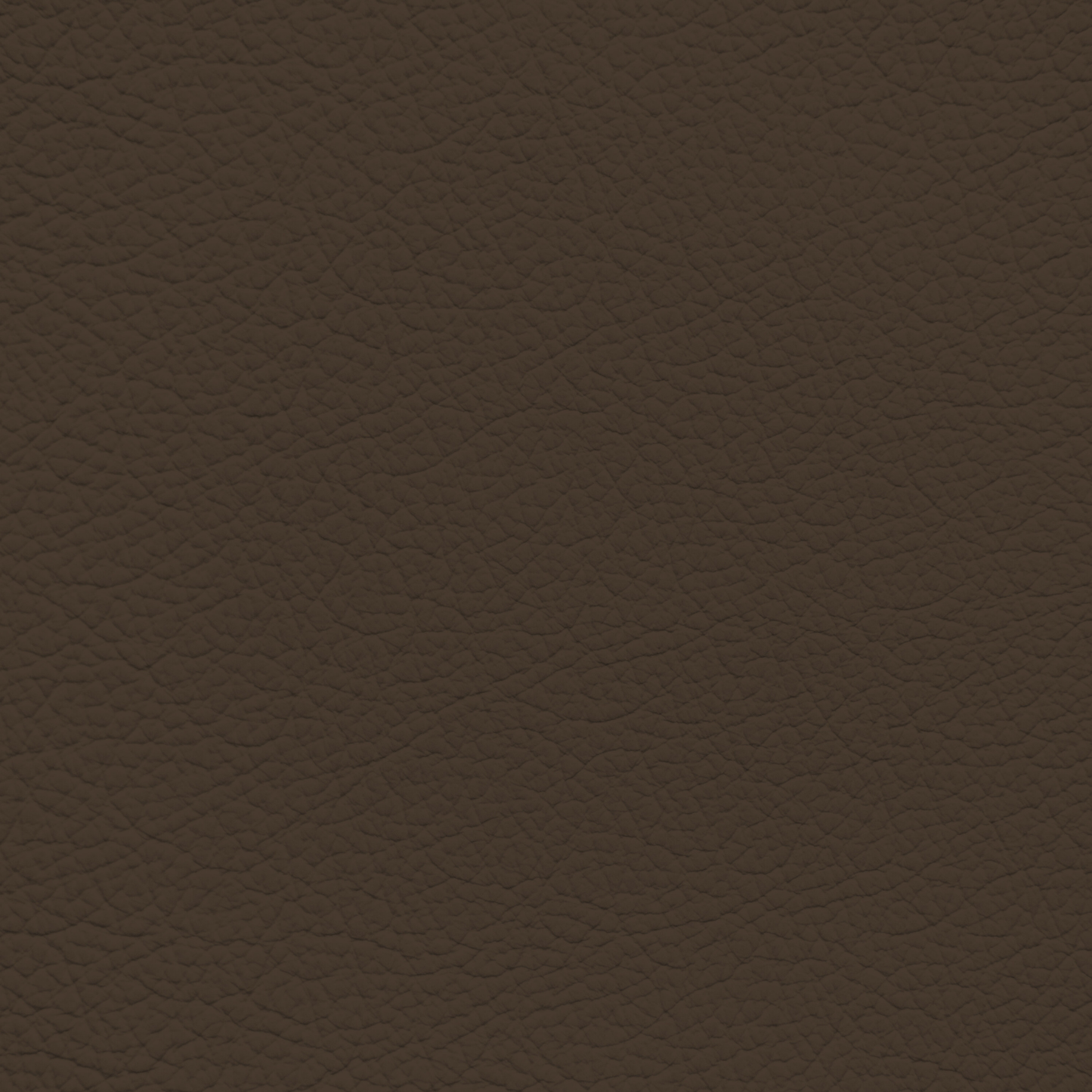 Mercedes Brazil Leather Dye