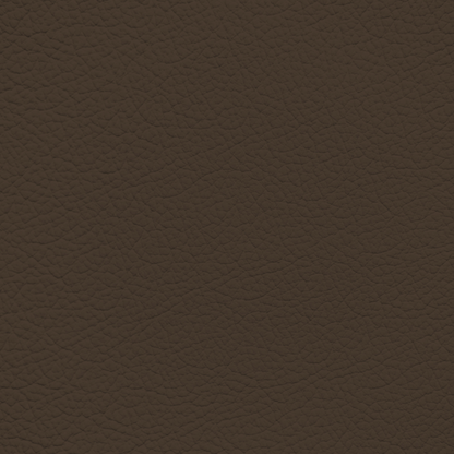 Mercedes Brazil Leather Dye