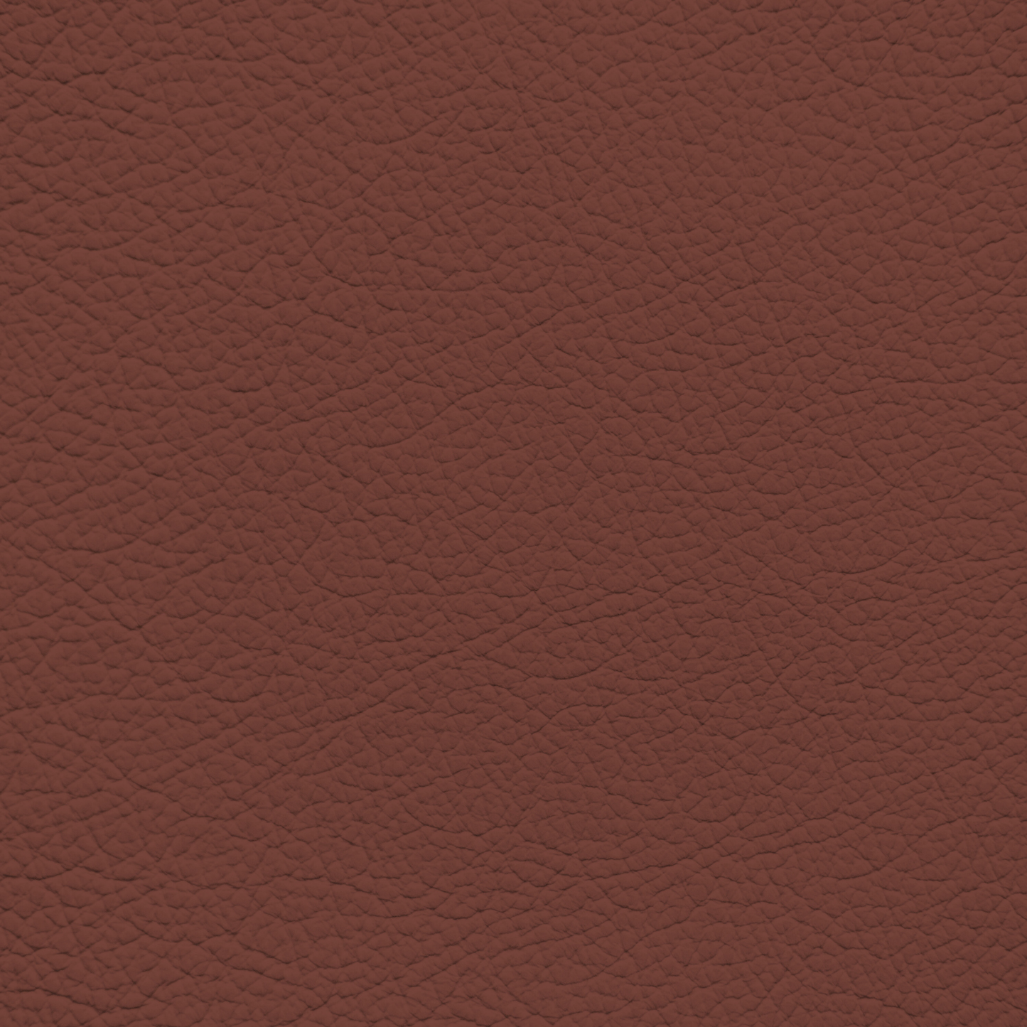 Ford/Lincoln/Mercury Brick Red Leather Dye
