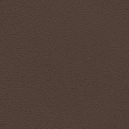 Infiniti Brown Leather Dye