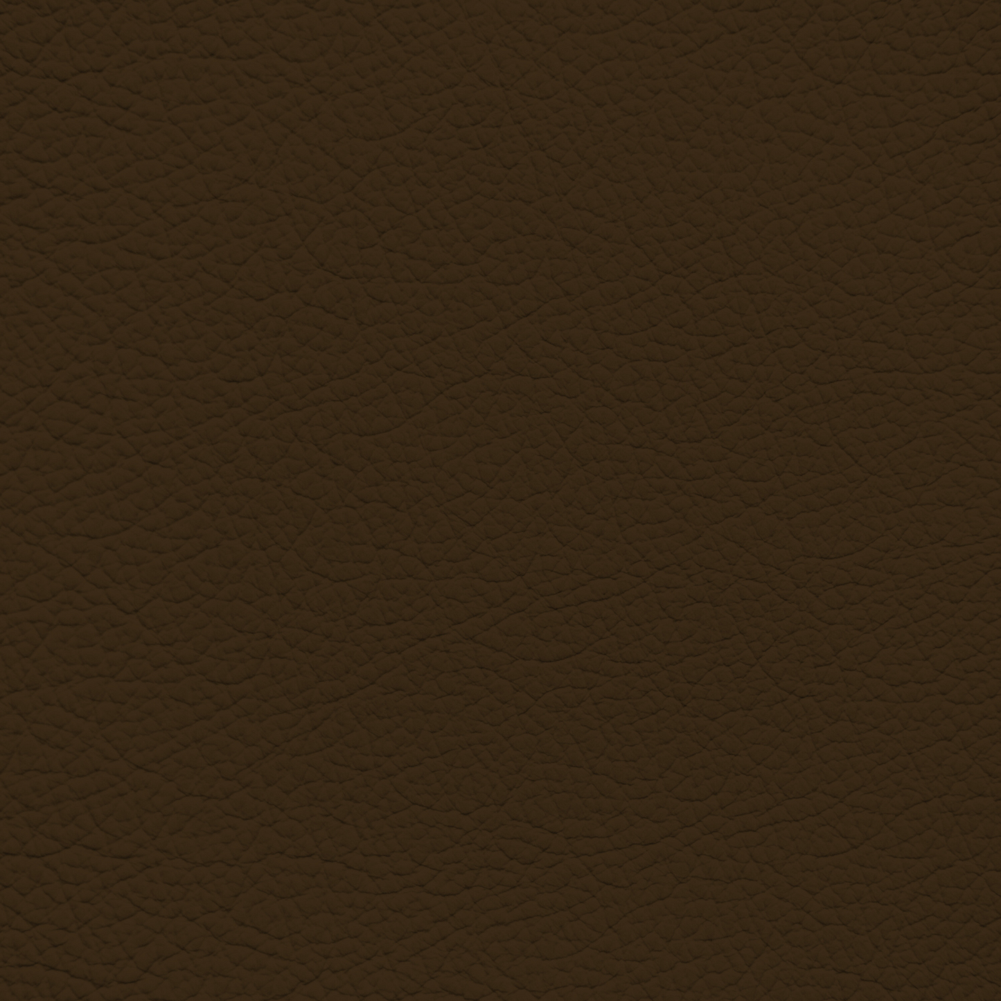 Jaguar Brown Leather Dye