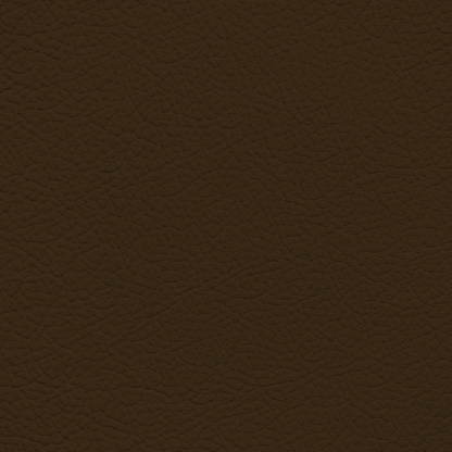 Jaguar Brown Leather Dye