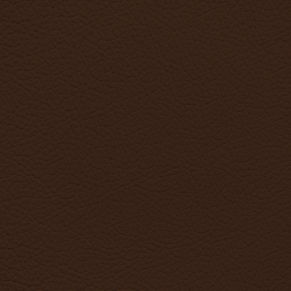 Porsche Brown Leather Dye