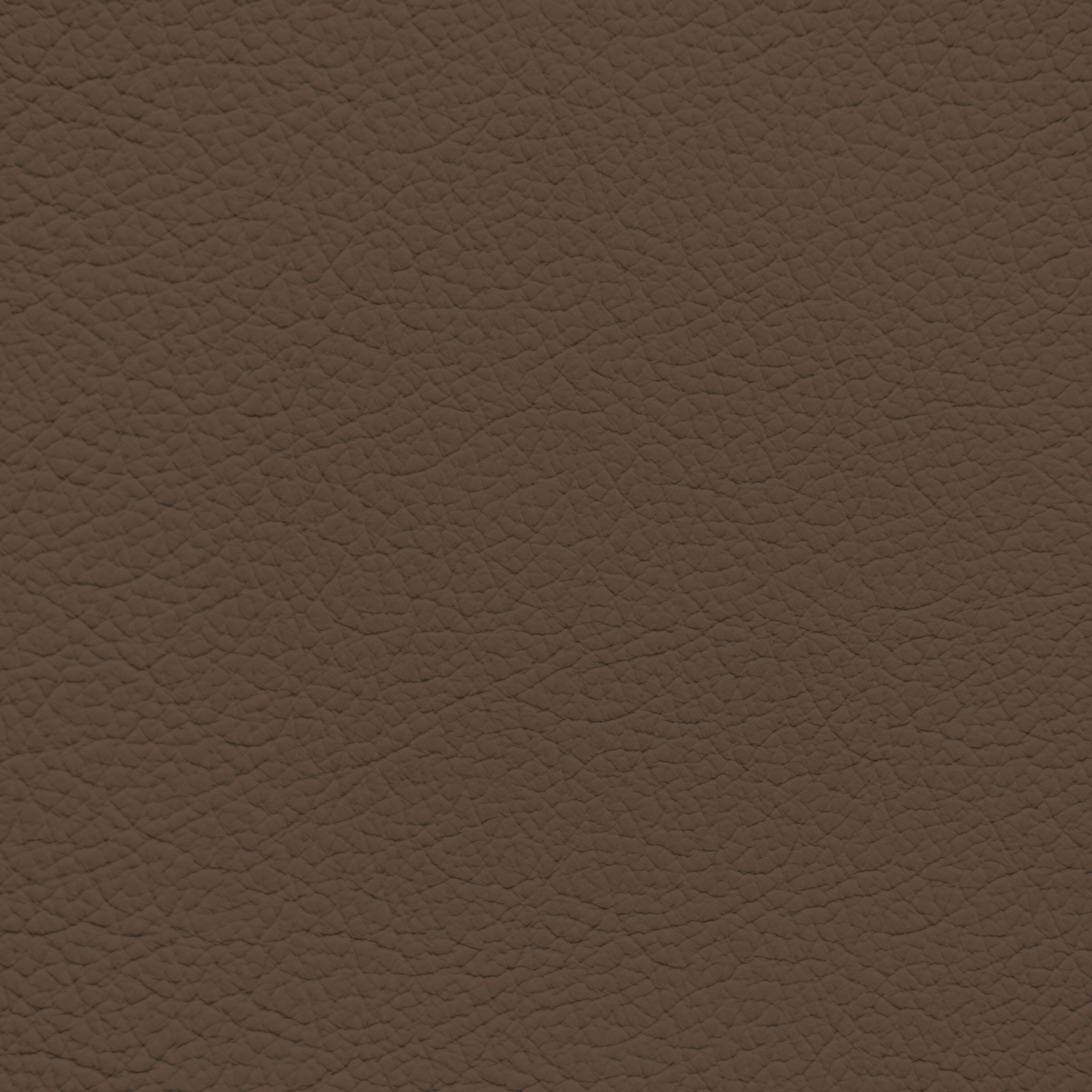 Subaru Brown Leather Dye
