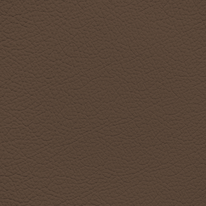 Subaru Brown Leather Dye