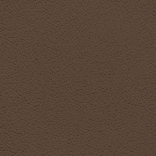 Subaru Brown Leather Dye