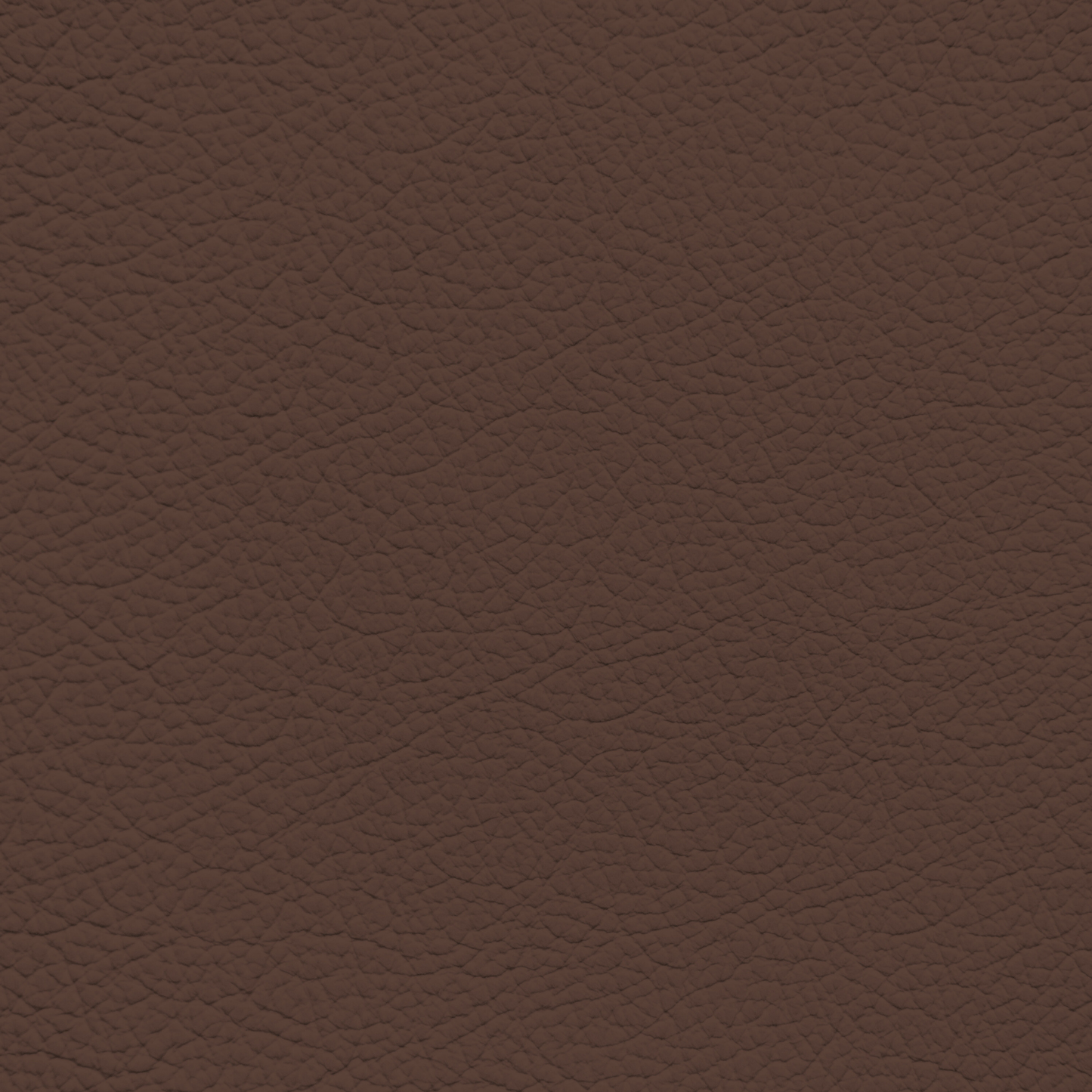 Maserati Brown Leather Dye