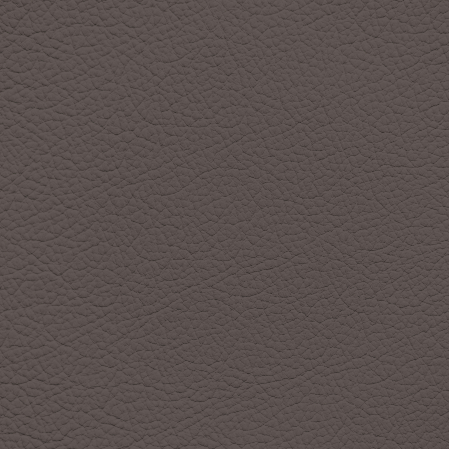 Ford/Lincoln/Mercury Brunello Leather Dye